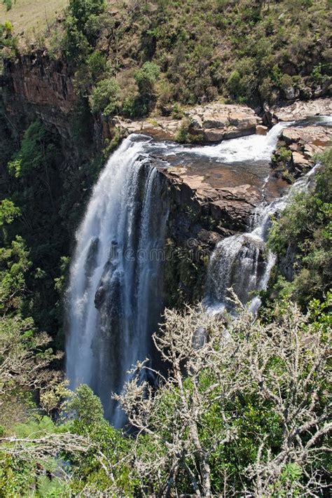 Bosval Van De MAC Rivier Van MAC In Het Noorden Van Sabie Zuid Afrika