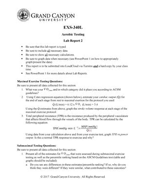 Exs L Lab Lab Questions Based On A Persons Gas Analysis How