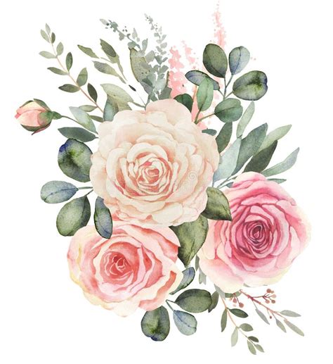 Mazzo Floreale Dell Acquerello Con Le Rose E L Eucalyptus Illustrazione