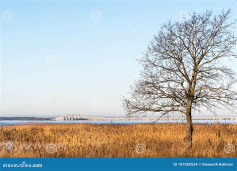 The Oland Bridge in Sweden stock photo. Image of water - 107485534