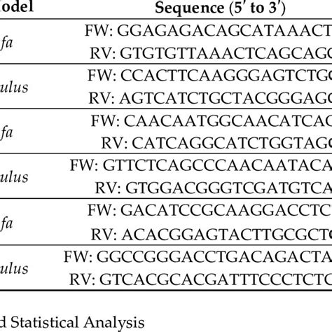 Primer Sequences Used For Real Time Pcr In Sus Scrofa And Mus Musculus Download Scientific