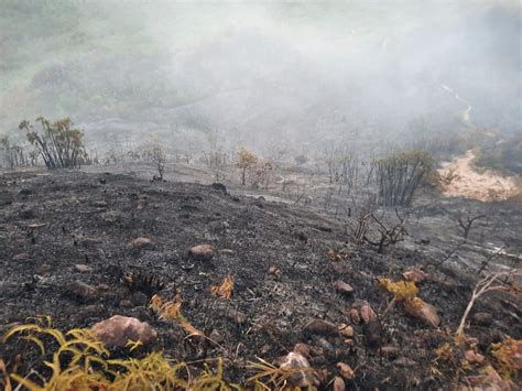 Declaran calamidad pública por incendio en Providencia