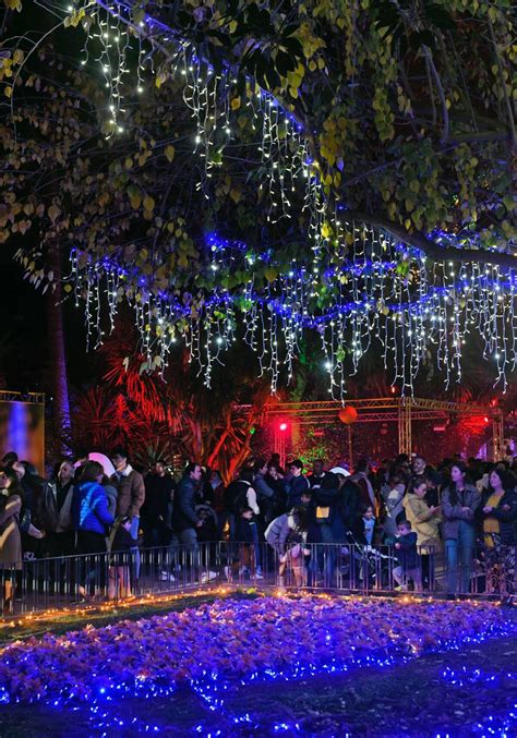 El Jardín de Los Sueños del Malecón cautiva a los murcianos y atrae ya