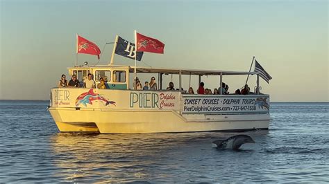 Pier Dolphin Cruises launches in St. Pete - I Love the Burg