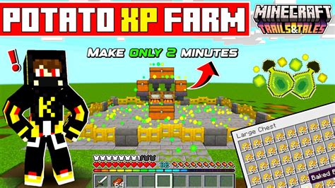 Easy Potato Xp Farm In Minecraft In Hindi