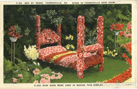 Bed Of Roses Thomasville, GA