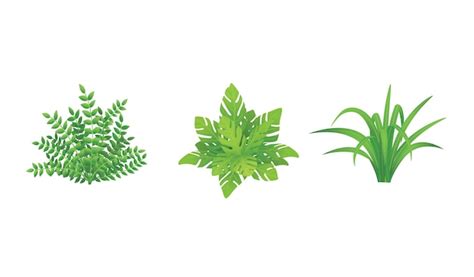 Premium Vector Set Of Shrubs And Bushes Garden Plants Vector