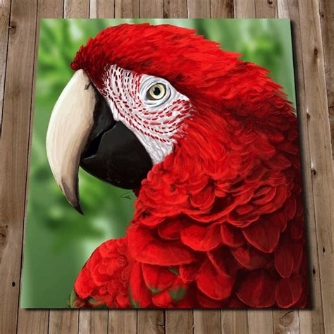 Macaw Poster Etsy