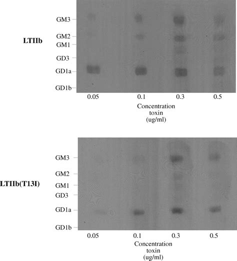 Figure 10 from Mammalian cell ganglioside-binding specificities of E ... 
