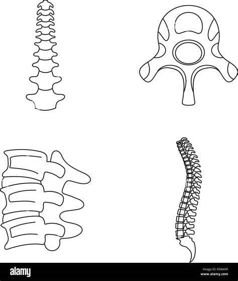 Spine Orthopedic Vertebra Icons Set Outline Illustration Of 4 Spine