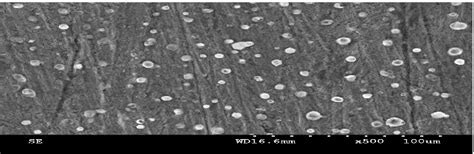 SEM Images Obtained For The Mild Steel Surfaces Immersed For 2 H In 2M