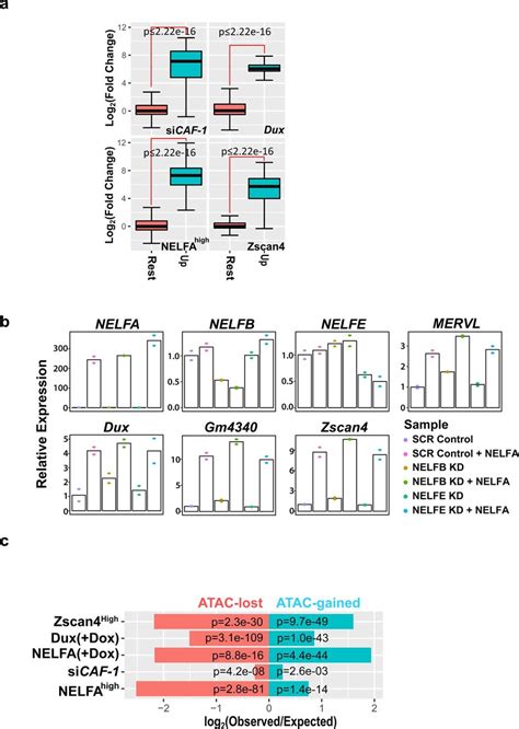 NELFA Induced Cells Are 2C Like A NELFA Induced Genes N 229 Are