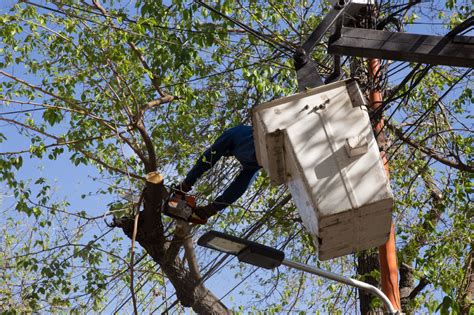 Edemsa programó cortes de energía en dos departamentos este domingo