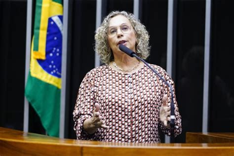 Deputada Ana Paula Apresenta Projeto Que Institui Observatório Da