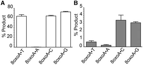 Cleavage Of Oligonucleotide Duplex Containing 8oxoa Paired With One Of