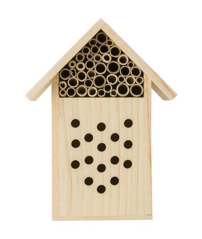 Abri Pour Abeilles En Bois