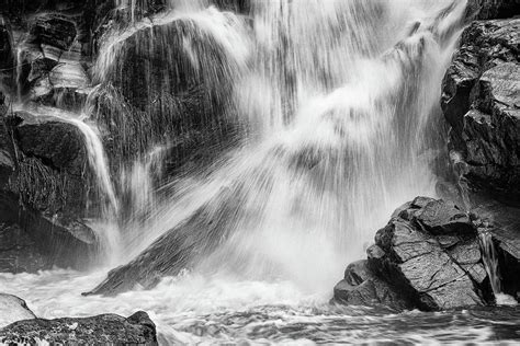Timeless Intensity Photograph by Gary Geddes - Fine Art America