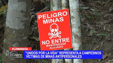 Unidos Por La Vida Representa A Campesinos Víctimas De Minas Antipersonales Cable Sur