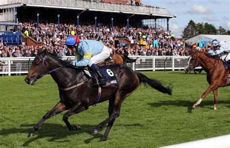 Top Races Ayr Racecourse Scotlands Premier Racecourse Home To The