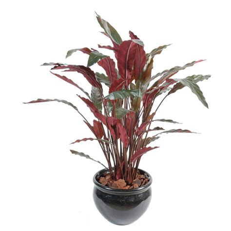 Calathea Artificiel En Pot Cm De Hauteur Vert Rouge