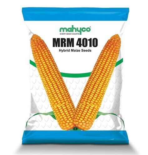 Natural Yellow Hybrid Maize Mrm Packaging Type Pouch Packaging