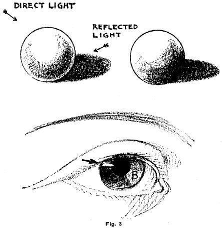 Light And Shadow Drawing Lesson