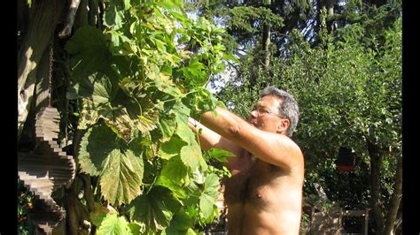 Toledo Ranked Th Best City In Which To Celebrate World Naked Gardening