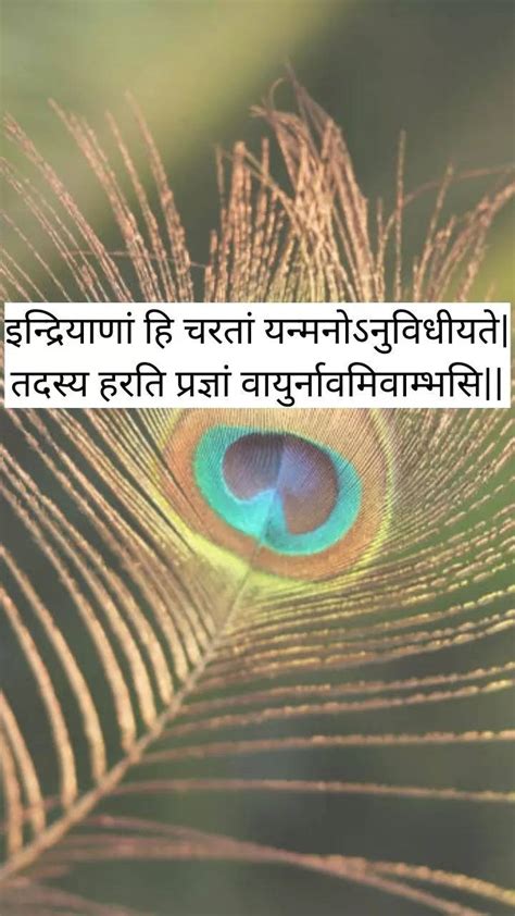 Bhagavad Gita Quotes In Marathi Pdf Alia Louise