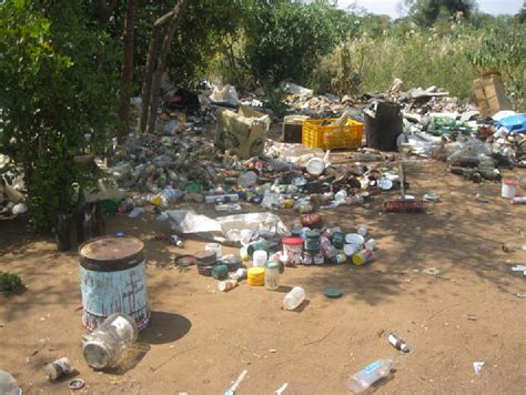 Figure 7 From Waste Management In Bulawayo City Council In Zimbabwe In