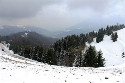 Hiking in Transylvania: Best Trails & Advice for Staying Safe