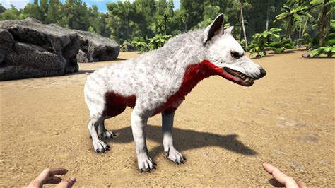 Hyaenodon Official Ark Survival Evolved Wiki