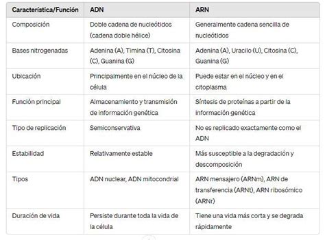 Un Cuadro Comparativo De Semejanzas Y Diferencias Entre Las