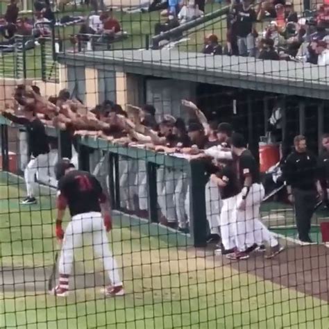 Renacimiento Autobiografía Despedida Dugout Beisbol Tensión Suri Detallado