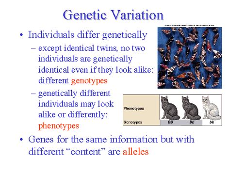 Genetic Variation