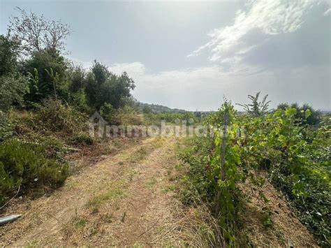 Terreno Agricolo Via Della Selva Genzano Di Roma Rif