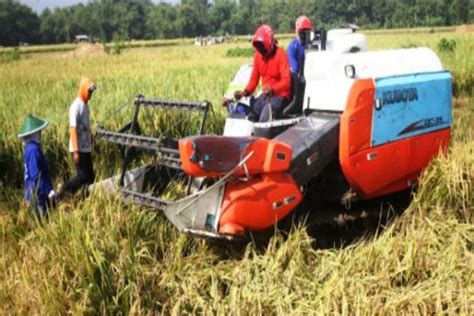 Pemkab Gelontorkan Rp Miliar Untuk Modernisasi Pertanian Di Sleman