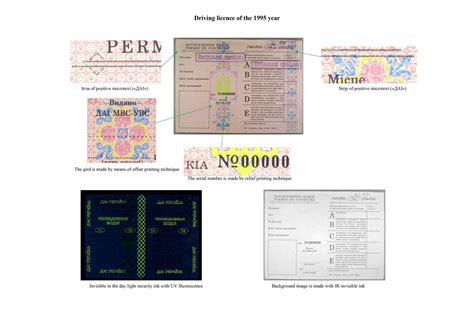 Samples of ukrainian driving licences | Головний сервісний центр МВС