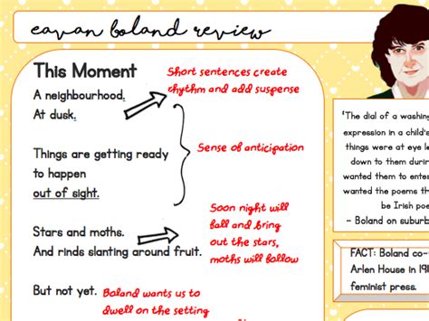 Eavan Boland, This Moment Handout | Teaching Resources