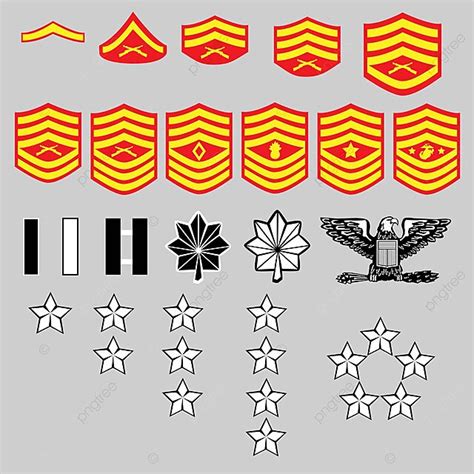 Marine Corps Rank Insignia Officer Insignia Lieutenant Vector, Officer ...