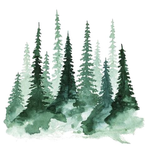 Forest PNG Transparent Images | PNG All