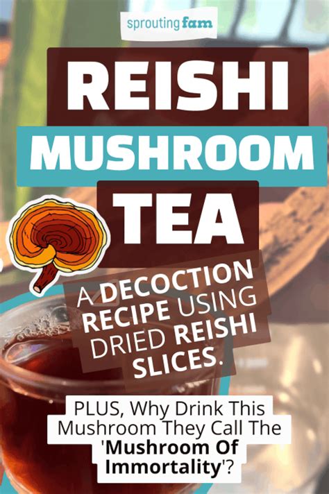 Reishi Mushroom Tea Recipe, Ganoderma Lingzhi Decoction - Sprouting Fam