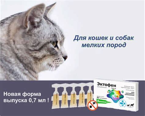 Рубикон ветеринарные препараты