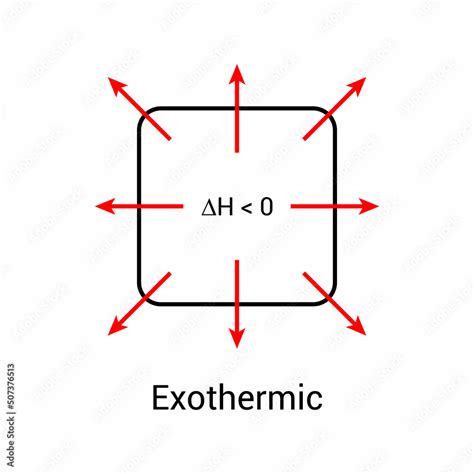 Exothermic reactions graphs diagram in chemistry vector illustration on white background Stock ...