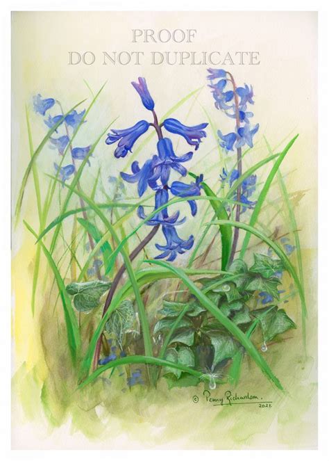 Bluebells Painting | Bluebell Prints