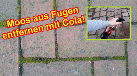 Moos Aus Fugen Entfernen Verhindern Mit Cola Moos Bei Pflasterfugen