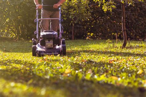 The 6 Benefits Of Mulching Grass Why You Should Do It