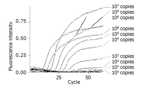 Detection Of Hepatitis B Virus Dna By Real Time Pcr Using Taqman Mgb