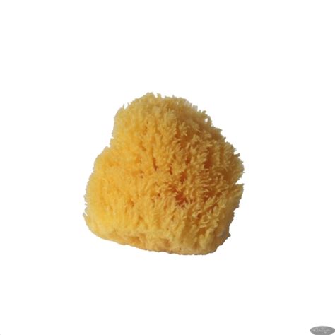 Губка натуральная морская HONEYCOMB 3 дюйма (6-7,5 см) 1 шт/1 уп ...