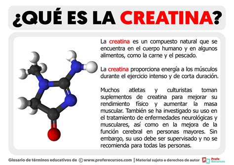 Qu Es La Creatina Definici N De Creatina