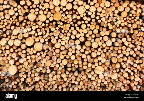 Detail Brown Brownish Brunette Circle Cut Burn Bark Backdrop Background Stock Photo Alamy